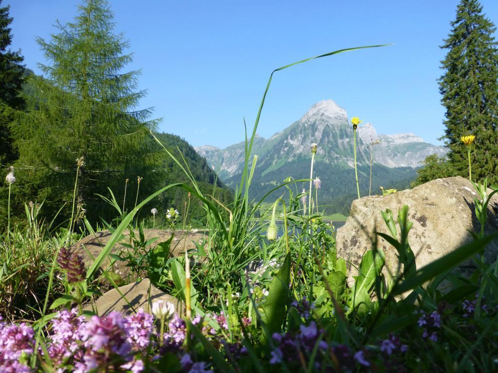 Berghotel Obersee Naefels Exterior photo