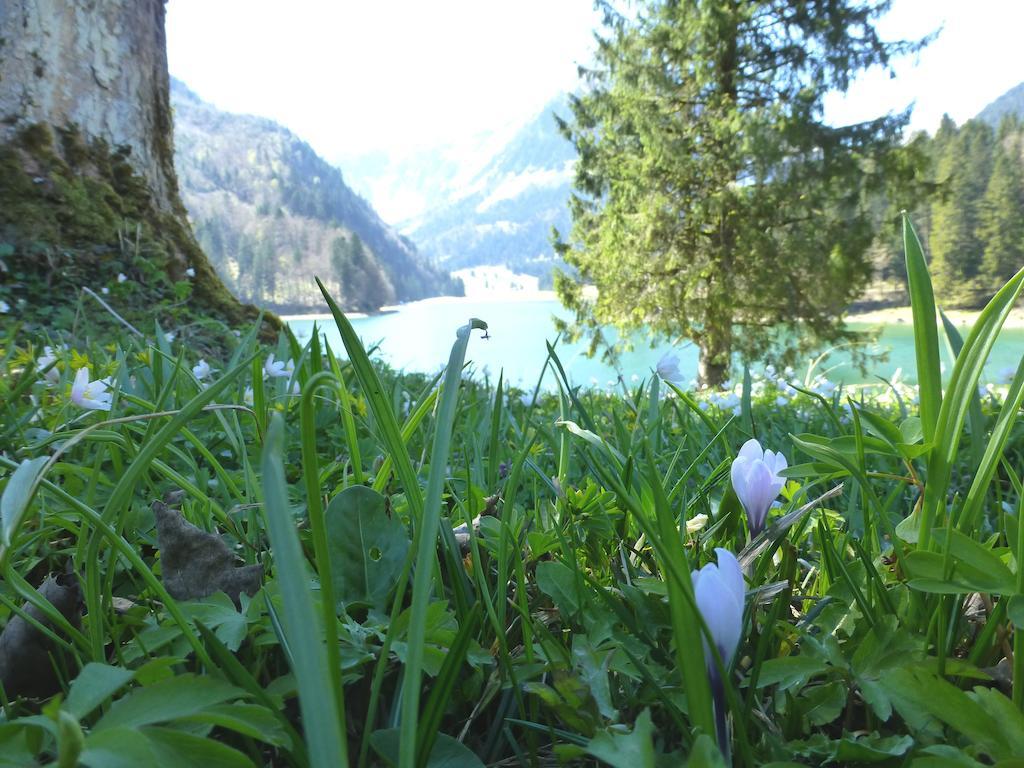 Berghotel Obersee Naefels Exterior photo