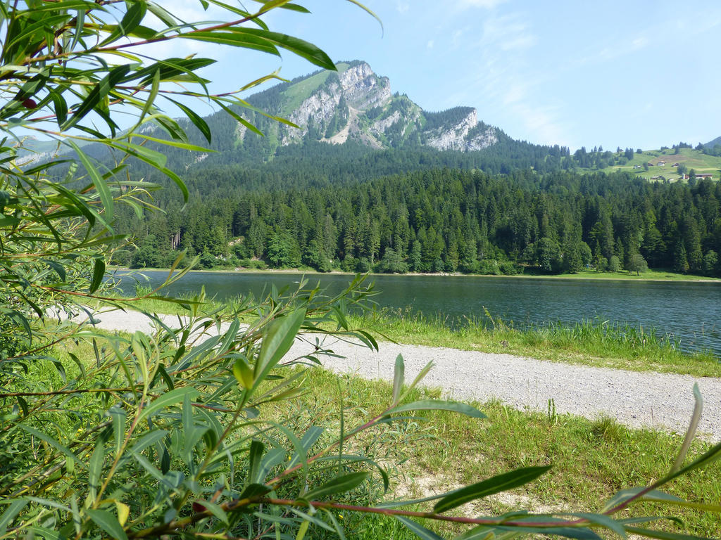 Berghotel Obersee Naefels Exterior photo